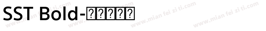 SST Bold字体转换
